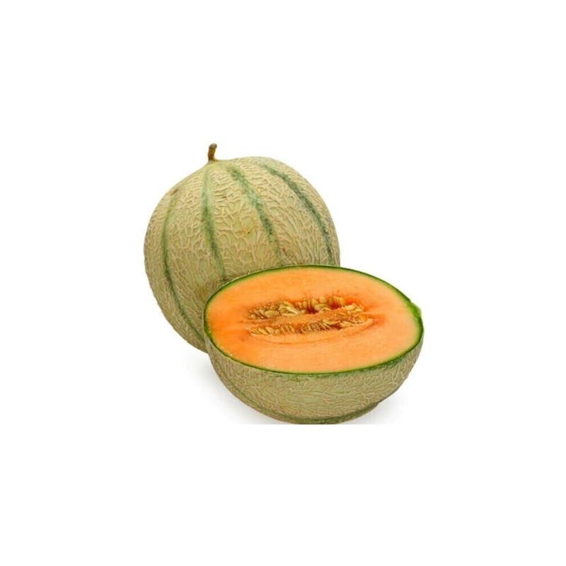 CANTALOUPE
